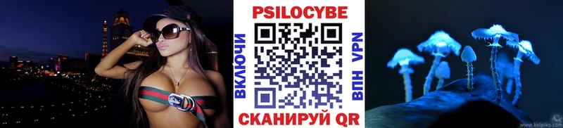 Псилоцибиновые грибы Psilocybe  Купить  Алапаевск 