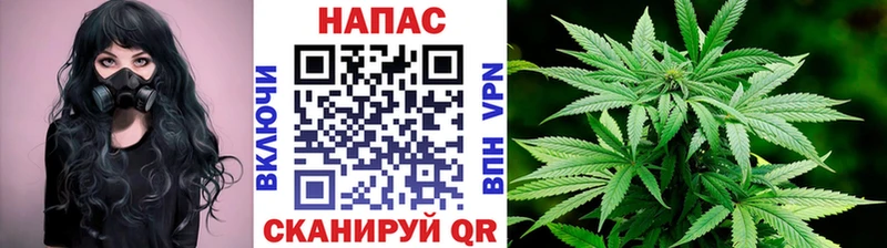 Бошки марихуана гибрид  Купить  Алапаевск 